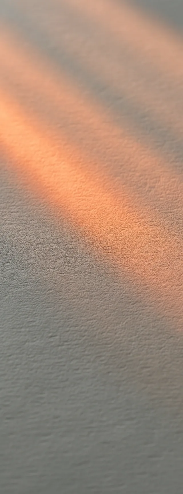 Textura técnica de privacidad